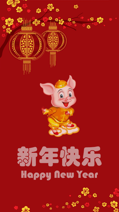 Chinese Ne!   w Year 2019 Year Of The Pig - 