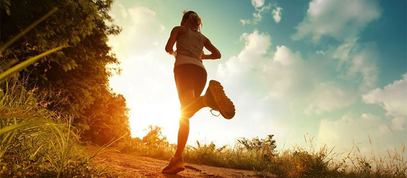 What are the Feng Shui elements affecting your health?