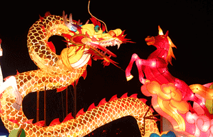Dragon and Horse Lantern