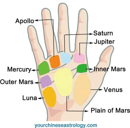 Palm Line Reading Chart