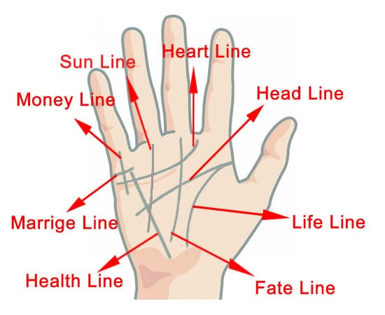 Palm Reading - How To Read Palm Lines - A Full Guide To Palmistry