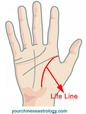 Life Line Palm Reading Guide Life Line In Chinese Palmistry