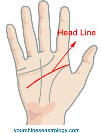 Palm Reading: How to Read Your Palm Lines in Just 10 Minutes