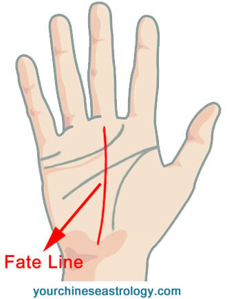 Understanding Palmistry: The 7 Types of Hands and Their Destiny