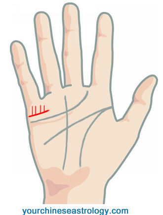 Traditional Adult Hand Lines By New England Hand Line