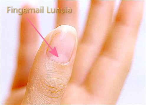 Fingernail Lunula, Little Moon: Meaning, Health, Color, Missing,  Disappearing