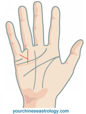 Money Line Signs Of Wealth And Money In Palmistry