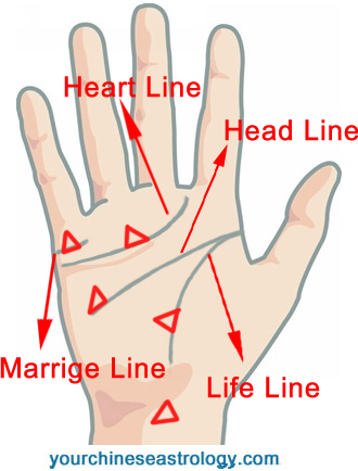 Hand line reading astrology in hindi
