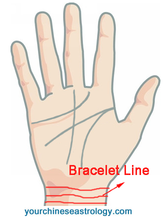 Share more than 87 3 bracelet lines palmistry super hot