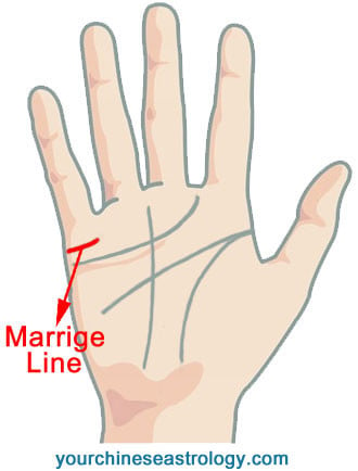 travel lines in hand