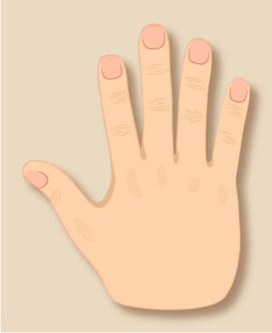 Types of Hand in Palmistry, Hand Shape: Personality, Career, Love