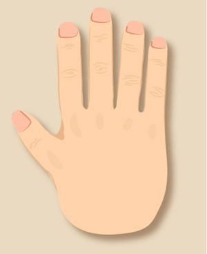 Types of Hand in Palmistry, Hand Shape: Personality, Career, Love Based on  Hand Types