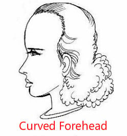 curved forehead